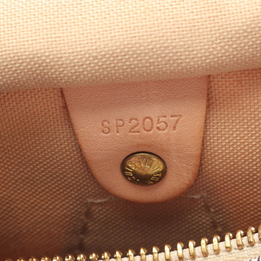 Speedy 25 Louis Vuitton Damier Blanc Vintage
