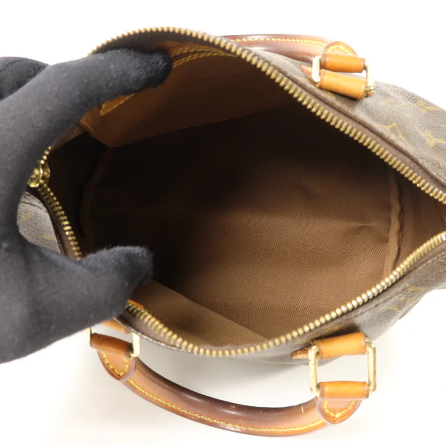 Speedy 25 Louis Vuitton Monogram